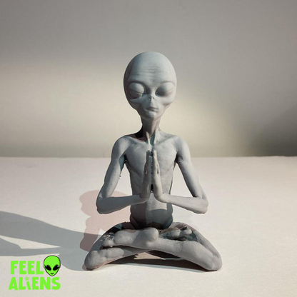 Zen Alien Statue Meditation