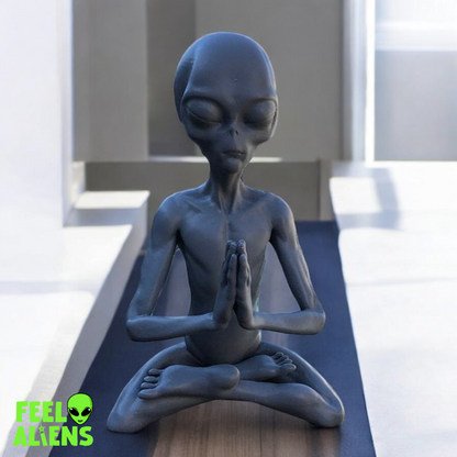 Zen Alien Statue Meditation