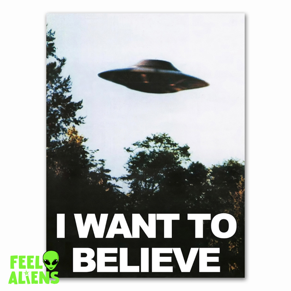 I Want to Believe UFO Poster