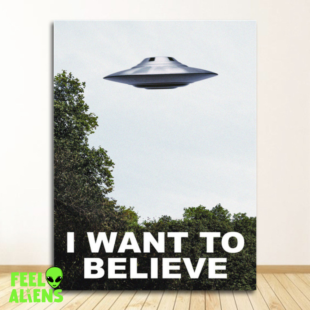 I Want to Believe UFO Poster